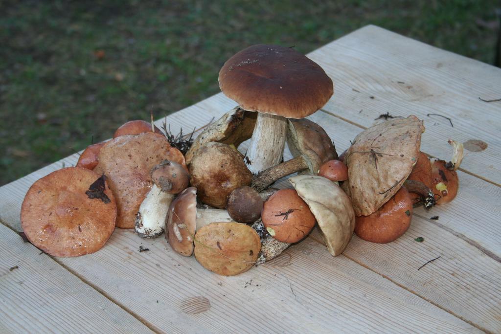 Nature Retreat "Upes Dizvietas" Krāslava Екстериор снимка